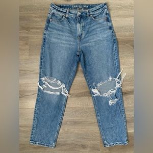 American Eagle Strigid Ripped Mom Jean